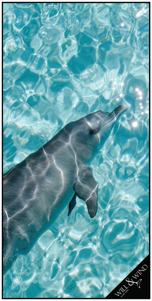 Will & Wind- DOLPHIN MICROFIBRE TOWEL