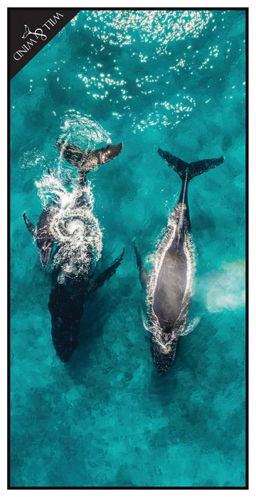 Will & Wind - HUMP BACK WHALES MICROFIBRE TOWEL